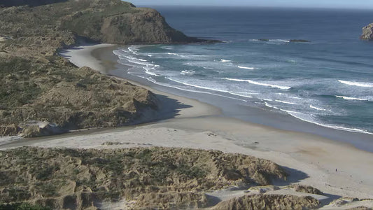 Otago Coastline, NZ  [ex-TVOne link attached]]
