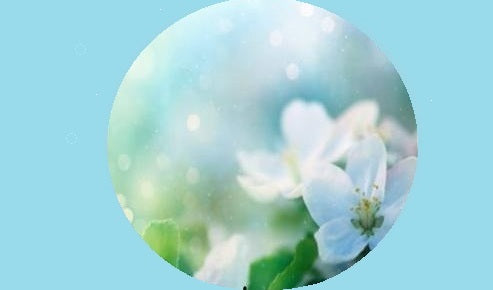 Bubble containing clematis flowers on turq blue background