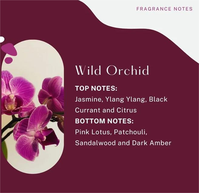 Fragrance notes for 'Wild Orchid' with a purple orchid on a maroon background