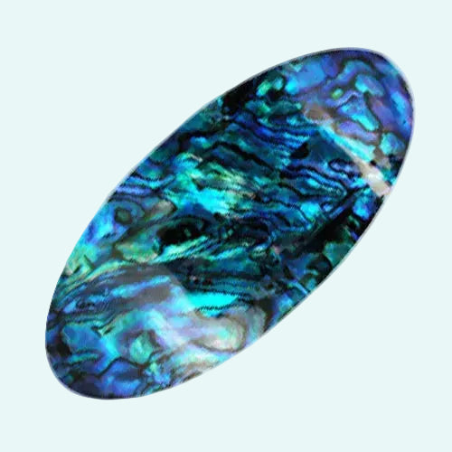 Abalone shell with blue and green patterns on a white background