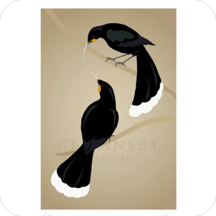 Art print - Pair of Huia Birds